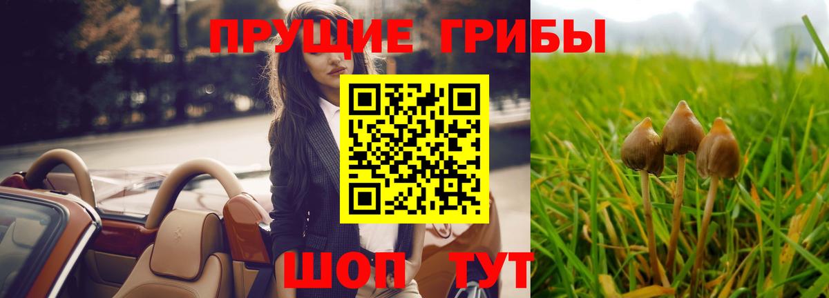 Псилоцибиновые грибы мицелий  Вход с VPN  Торжок 