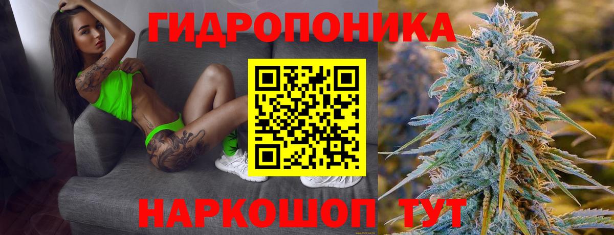 Торжок  Канабис гибрид  Канабис Ganja  Вход с VPN  Канабис LSD WEED  Каннабис MAZAR 